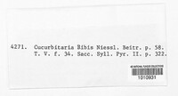 Cucurbitaria ribis image